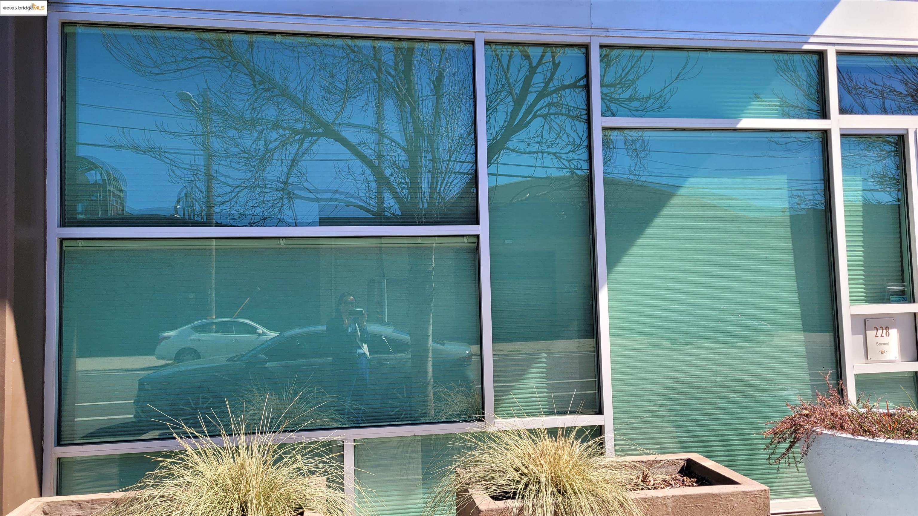 Photo #2: 41091022 Listing 