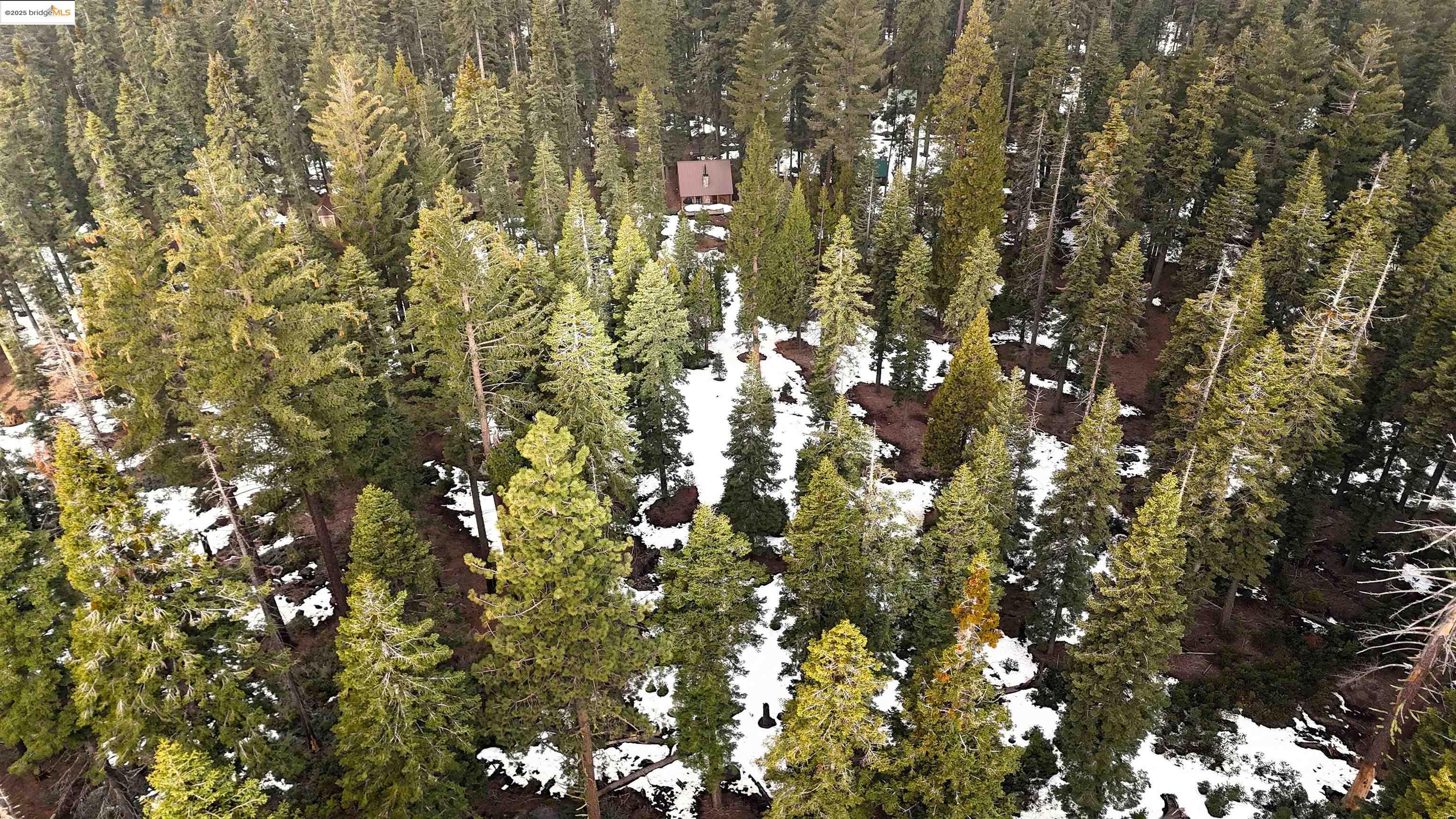 Detail Gallery Image 3 of 32 For 41 Cow Creek, Strawberry,  CA 95375 - 2 Beds | 1 Baths