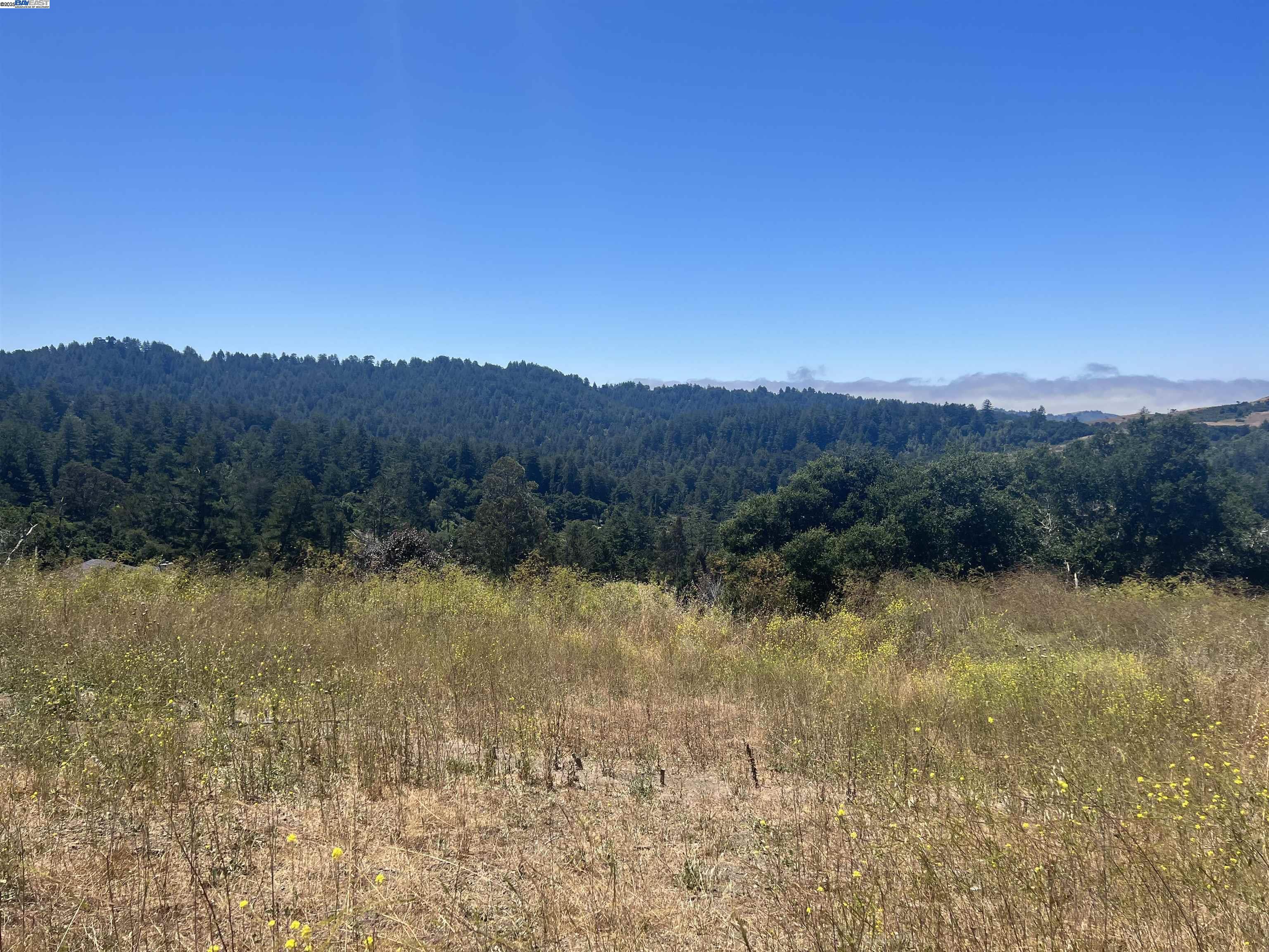 Detail Gallery Image 1 of 13 For 20 Scenic Drive, La Honda,  CA 94020 - – Beds | – Baths