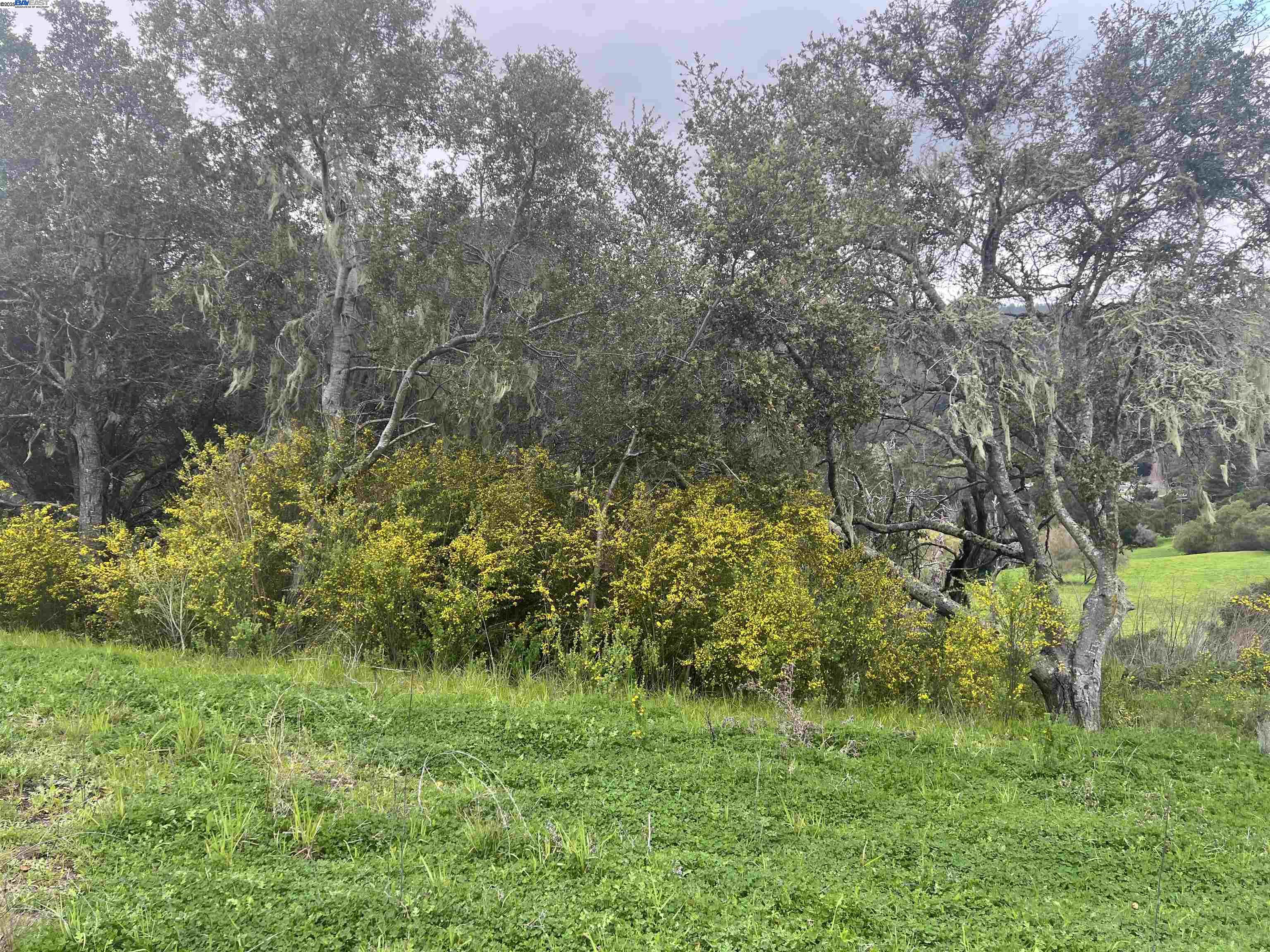 Detail Gallery Image 3 of 13 For 20 Scenic Drive, La Honda,  CA 94020 - – Beds | – Baths