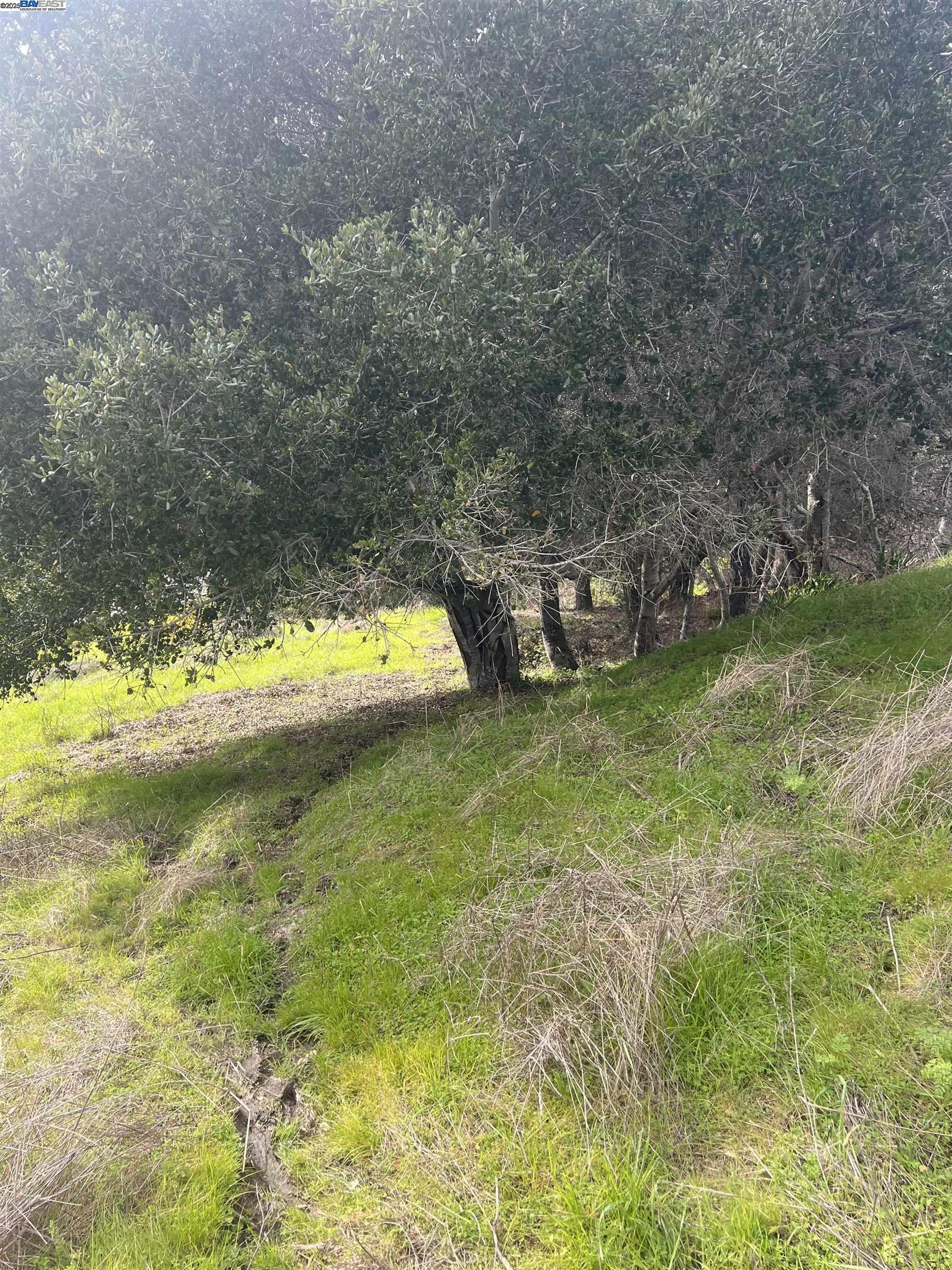 Detail Gallery Image 7 of 13 For 20 Scenic Drive, La Honda,  CA 94020 - – Beds | – Baths