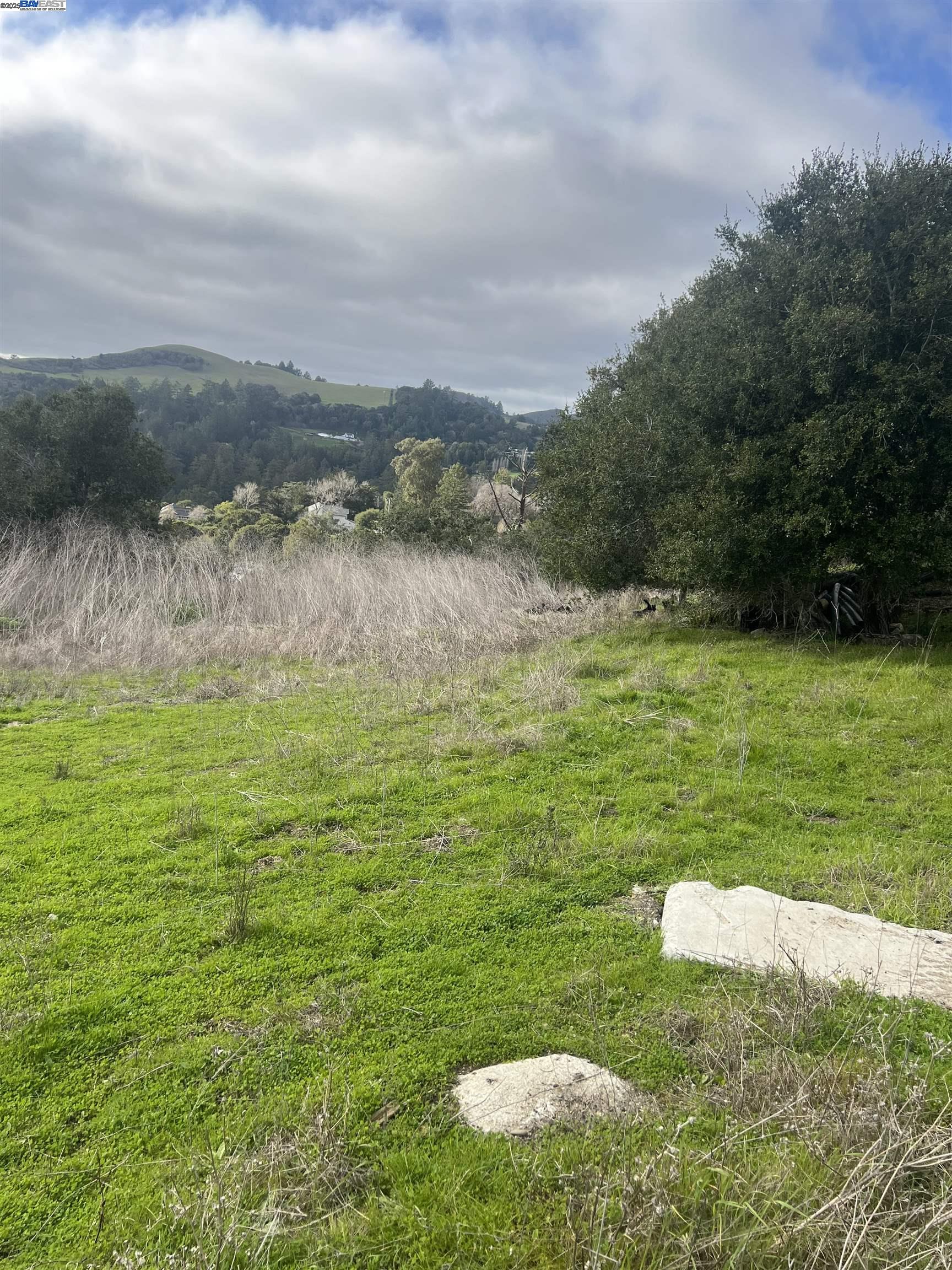 Detail Gallery Image 8 of 13 For 20 Scenic Drive, La Honda,  CA 94020 - – Beds | – Baths
