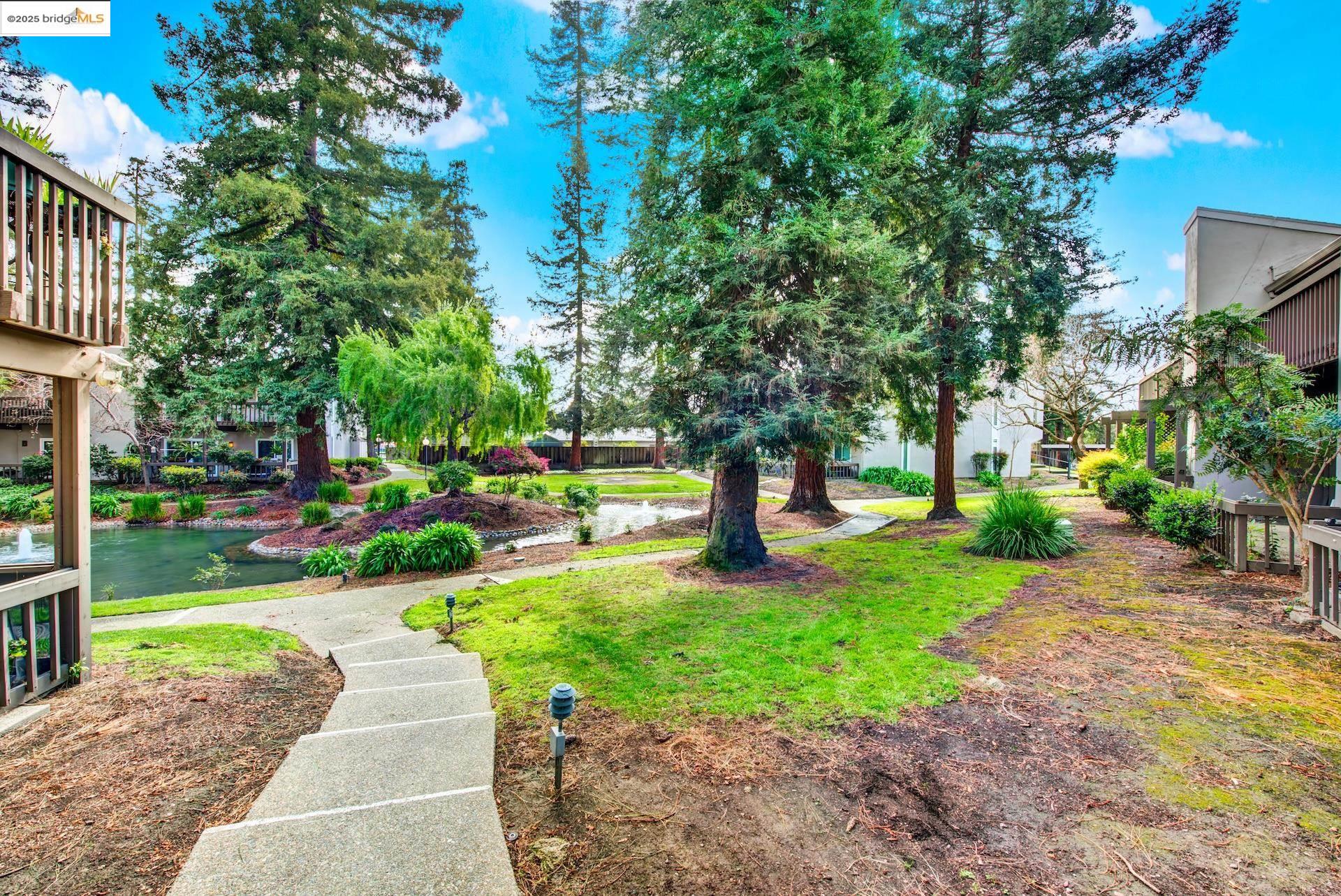 Photo #46: 41091289 Listing: Photo #46