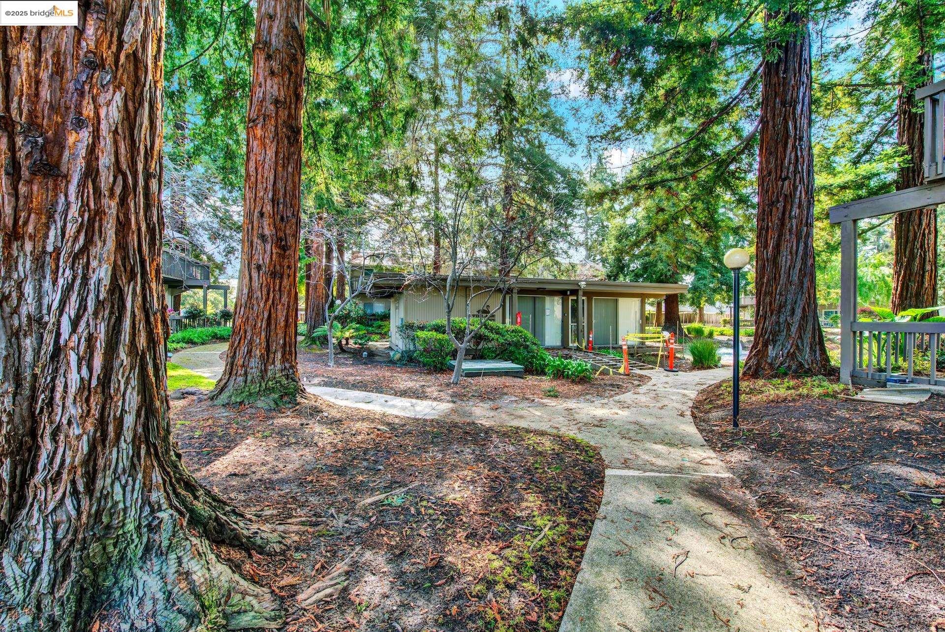 Photo #48: 41091289 Listing: Photo #48