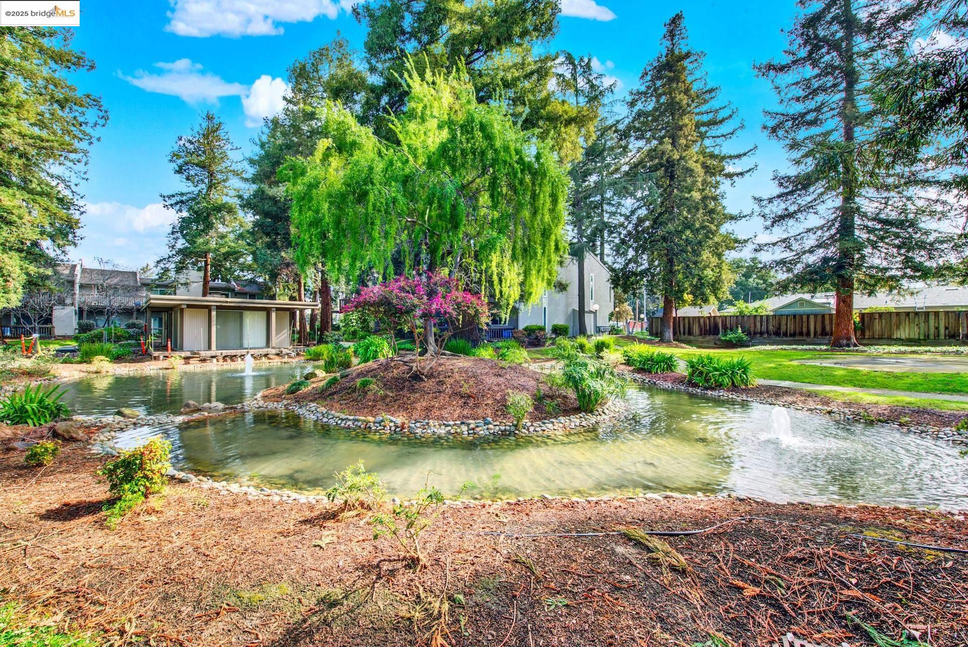 Photo #51: 41091289 Listing: Photo #51