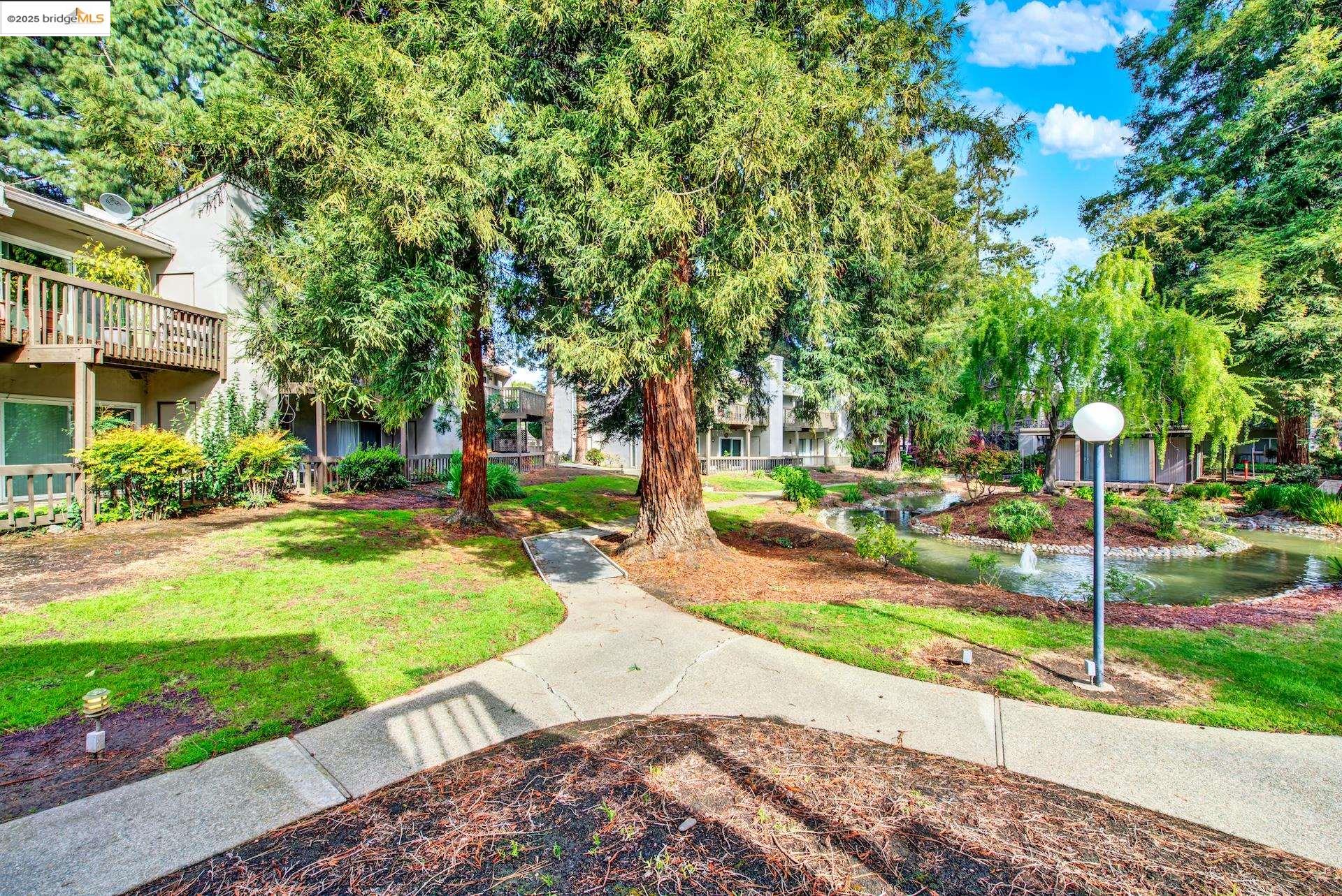 Photo #57: 41091289 Listing: Photo #57