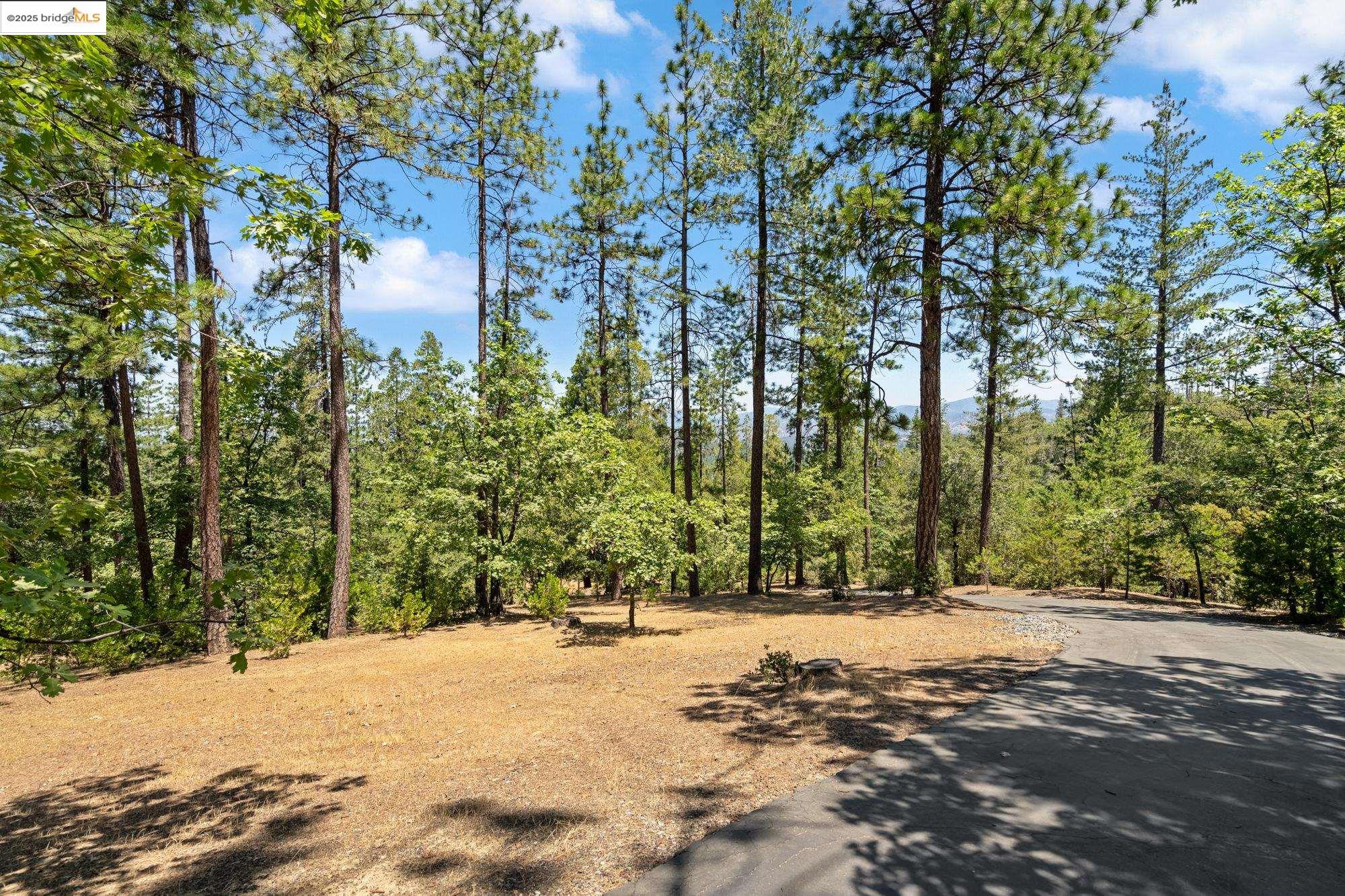 Detail Gallery Image 42 of 57 For 11335 Bridal Veil, Groveland,  CA 95321-0000 - 3 Beds | 2 Baths
