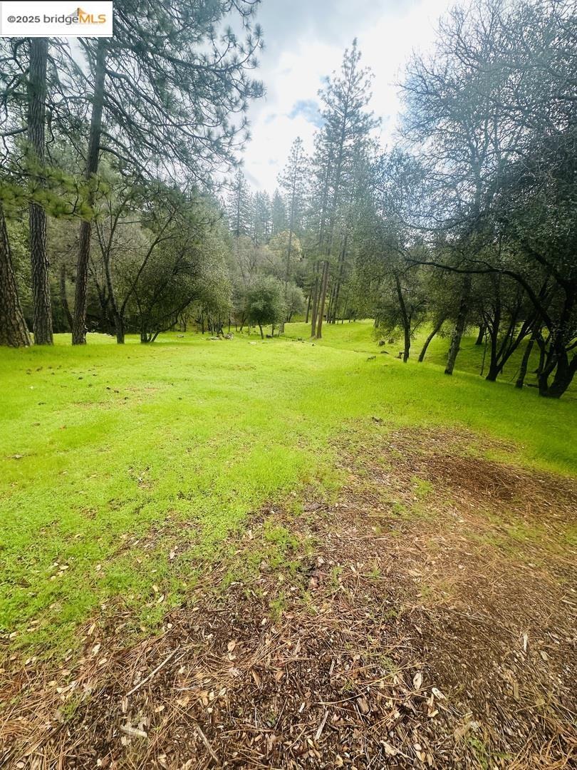 Detail Gallery Image 2 of 19 For 13095 Fox Ct, Groveland,  CA 95321 - – Beds | – Baths