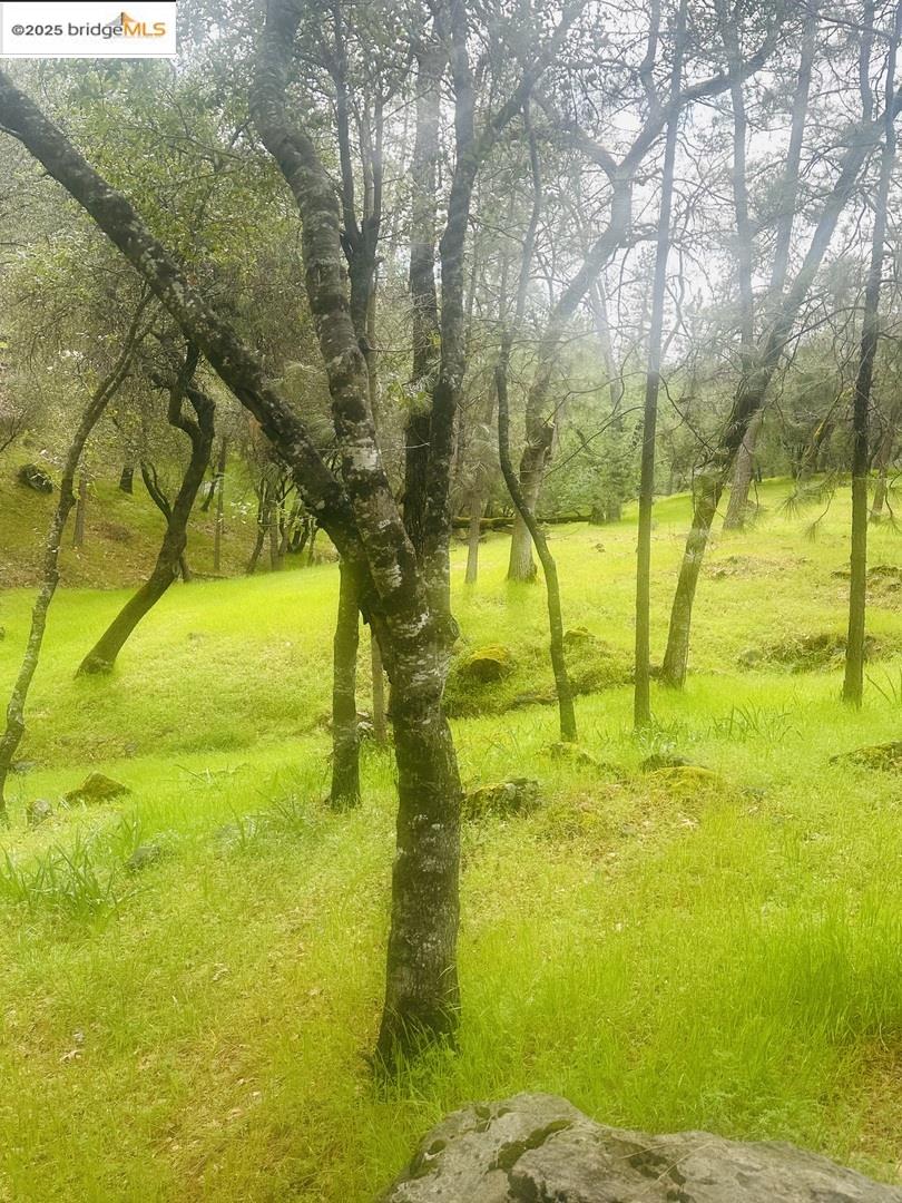 Detail Gallery Image 11 of 19 For 13095 Fox Ct, Groveland,  CA 95321 - – Beds | – Baths