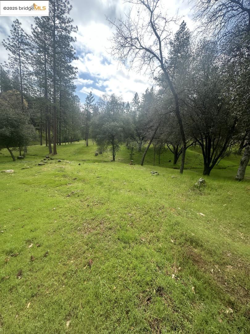 Detail Gallery Image 12 of 19 For 13095 Fox Ct, Groveland,  CA 95321 - – Beds | – Baths