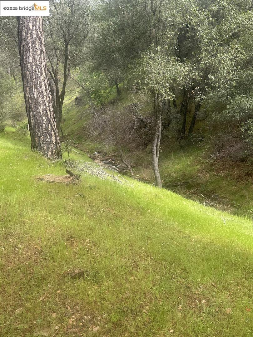 Detail Gallery Image 13 of 19 For 13095 Fox Ct, Groveland,  CA 95321 - – Beds | – Baths