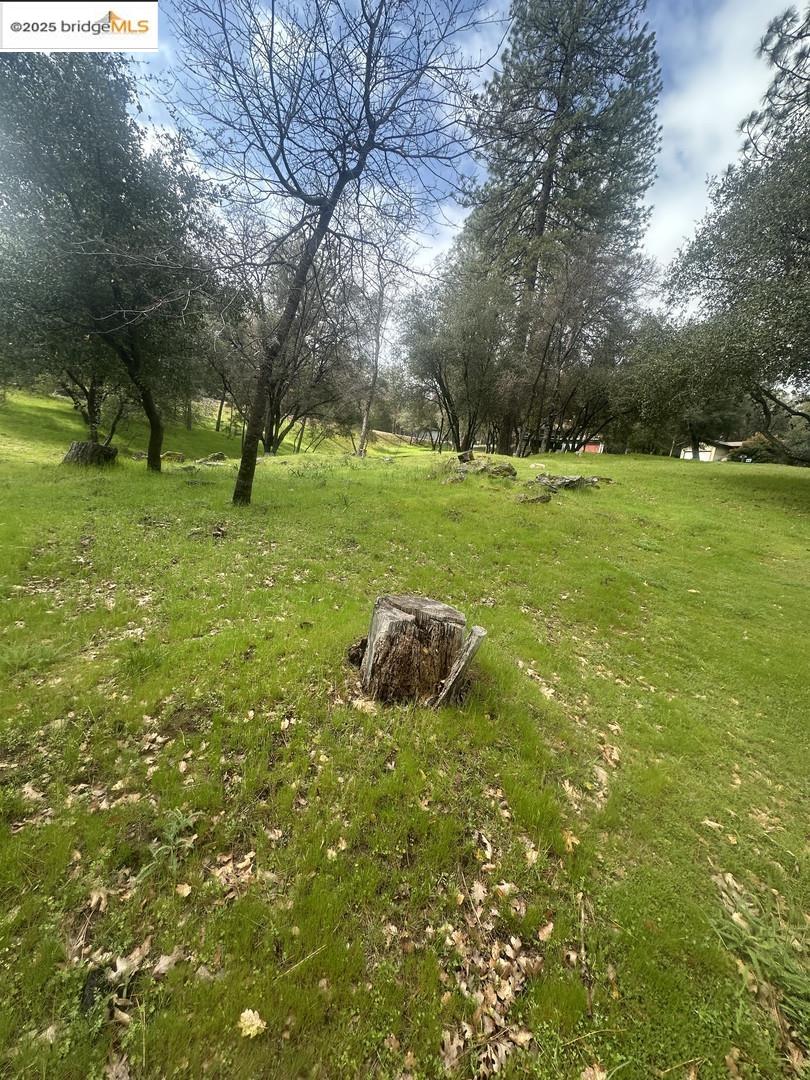 Detail Gallery Image 14 of 19 For 13095 Fox Ct, Groveland,  CA 95321 - – Beds | – Baths