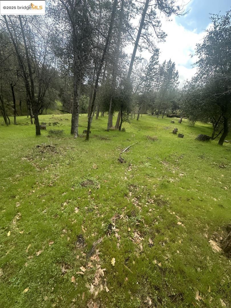 Detail Gallery Image 15 of 19 For 13095 Fox Ct, Groveland,  CA 95321 - – Beds | – Baths