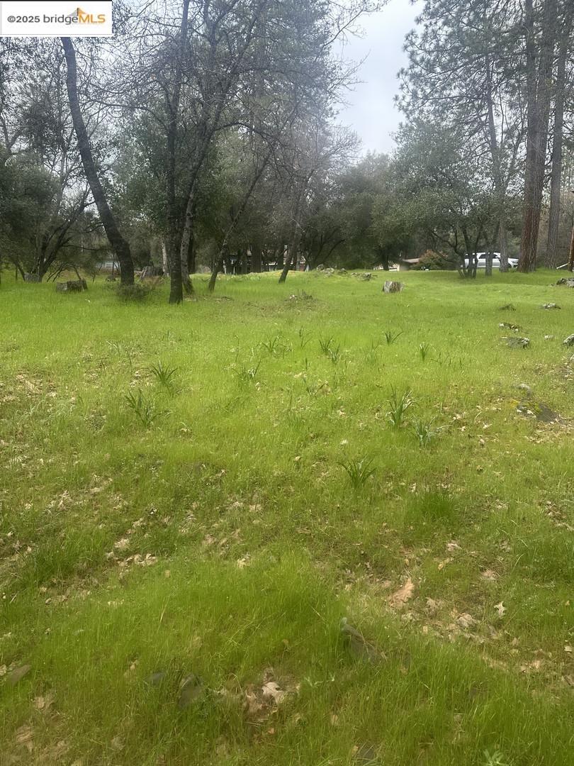 Detail Gallery Image 16 of 19 For 13095 Fox Ct, Groveland,  CA 95321 - – Beds | – Baths