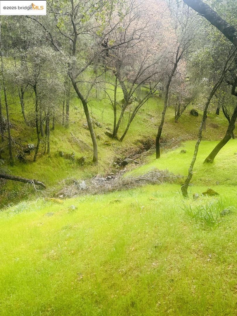 Detail Gallery Image 17 of 19 For 13095 Fox Ct, Groveland,  CA 95321 - – Beds | – Baths