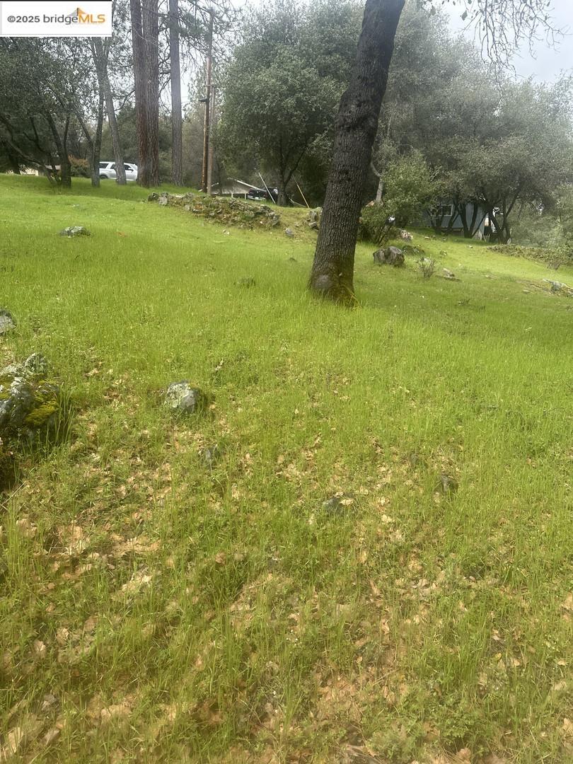 Detail Gallery Image 18 of 19 For 13095 Fox Ct, Groveland,  CA 95321 - – Beds | – Baths