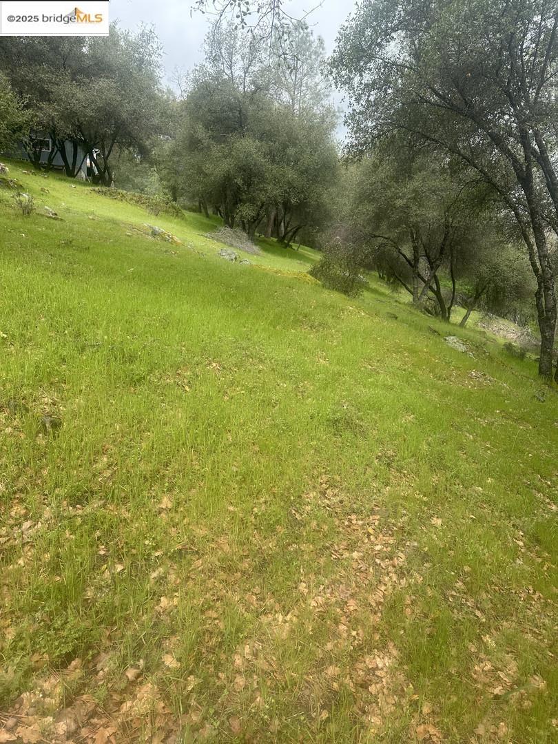 Detail Gallery Image 19 of 19 For 13095 Fox Ct, Groveland,  CA 95321 - – Beds | – Baths