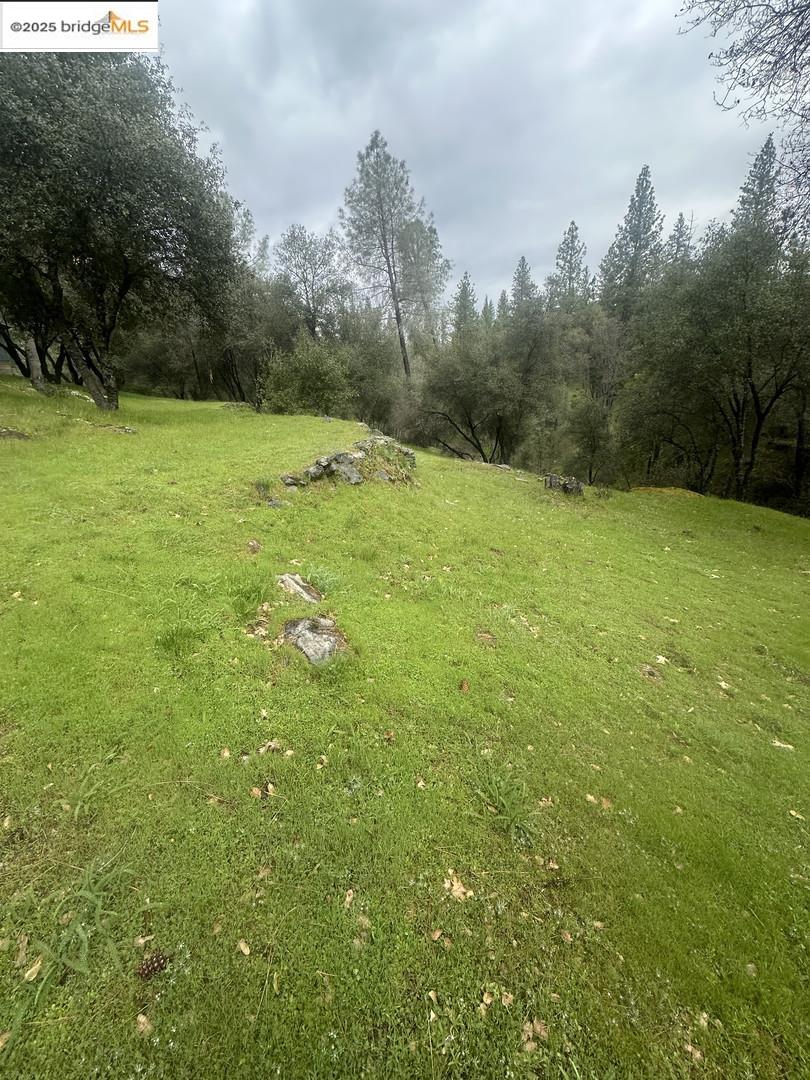 Detail Gallery Image 4 of 19 For 13095 Fox Ct, Groveland,  CA 95321 - – Beds | – Baths