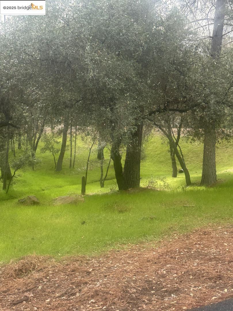 Detail Gallery Image 5 of 19 For 13095 Fox Ct, Groveland,  CA 95321 - – Beds | – Baths