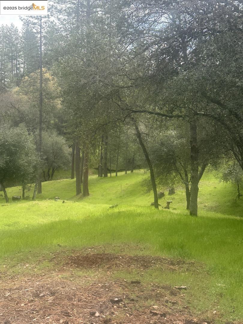 Detail Gallery Image 6 of 19 For 13095 Fox Ct, Groveland,  CA 95321 - – Beds | – Baths