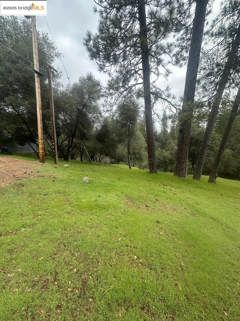 Detail Gallery Image 7 of 19 For 13095 Fox Ct, Groveland,  CA 95321 - – Beds | – Baths