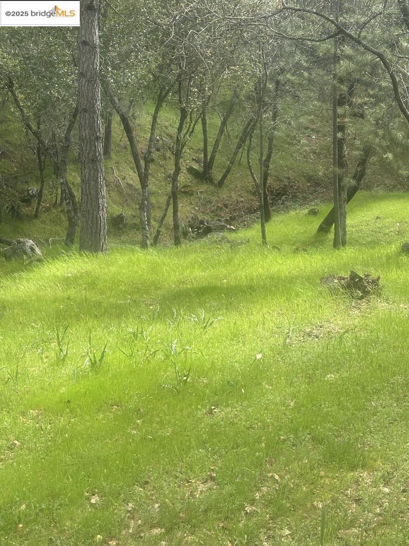 Detail Gallery Image 8 of 19 For 13095 Fox Ct, Groveland,  CA 95321 - – Beds | – Baths