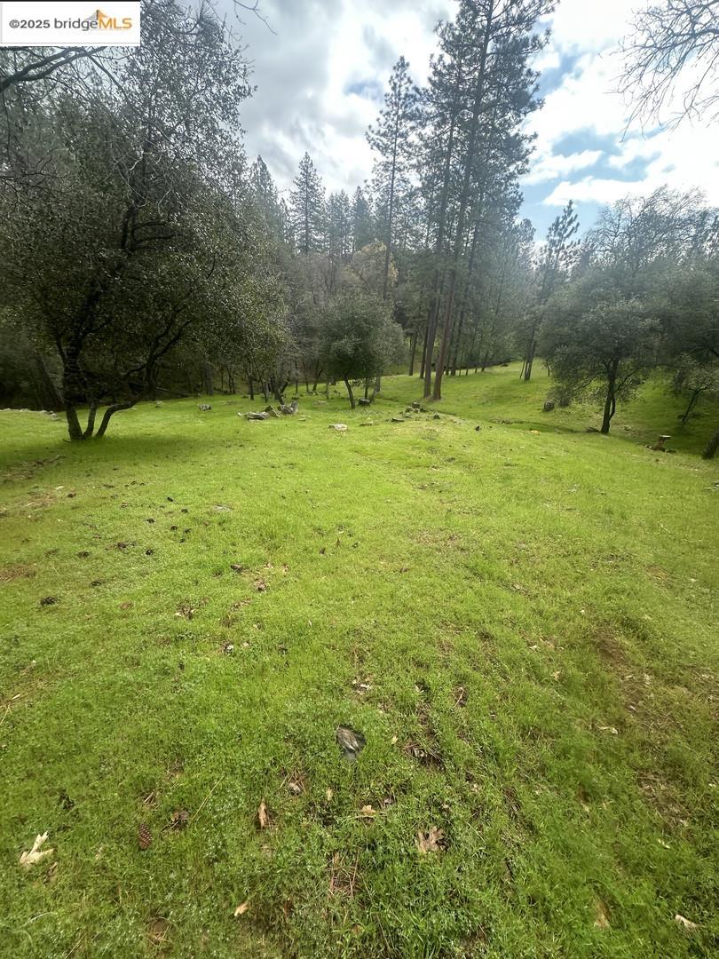 Detail Gallery Image 9 of 19 For 13095 Fox Ct, Groveland,  CA 95321 - – Beds | – Baths