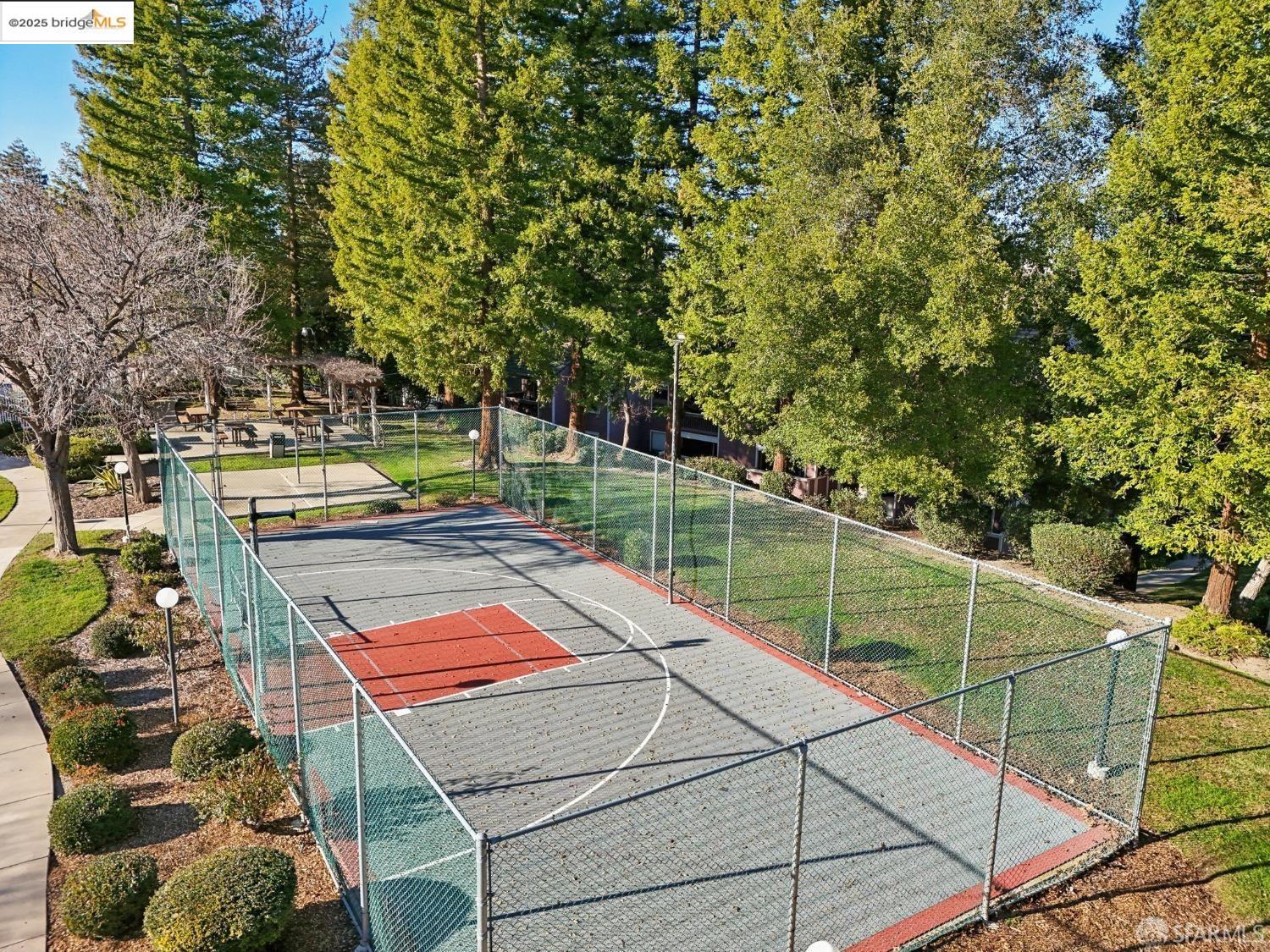 Photo #20: 41091365 Listing: Photo #20