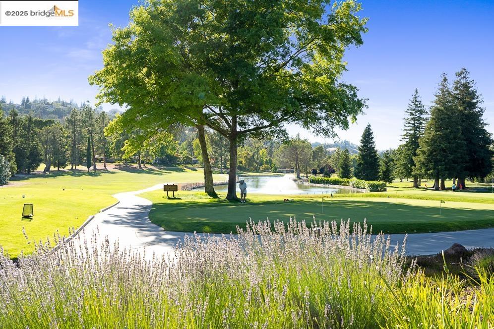 Detail Gallery Image 17 of 27 For 1115 Running Springs Rd #4,  Walnut Creek,  CA 94595 - 2 Beds | 2 Baths