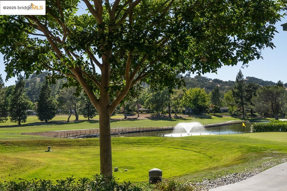 Detail Gallery Image 18 of 27 For 1115 Running Springs Rd #4,  Walnut Creek,  CA 94595 - 2 Beds | 2 Baths