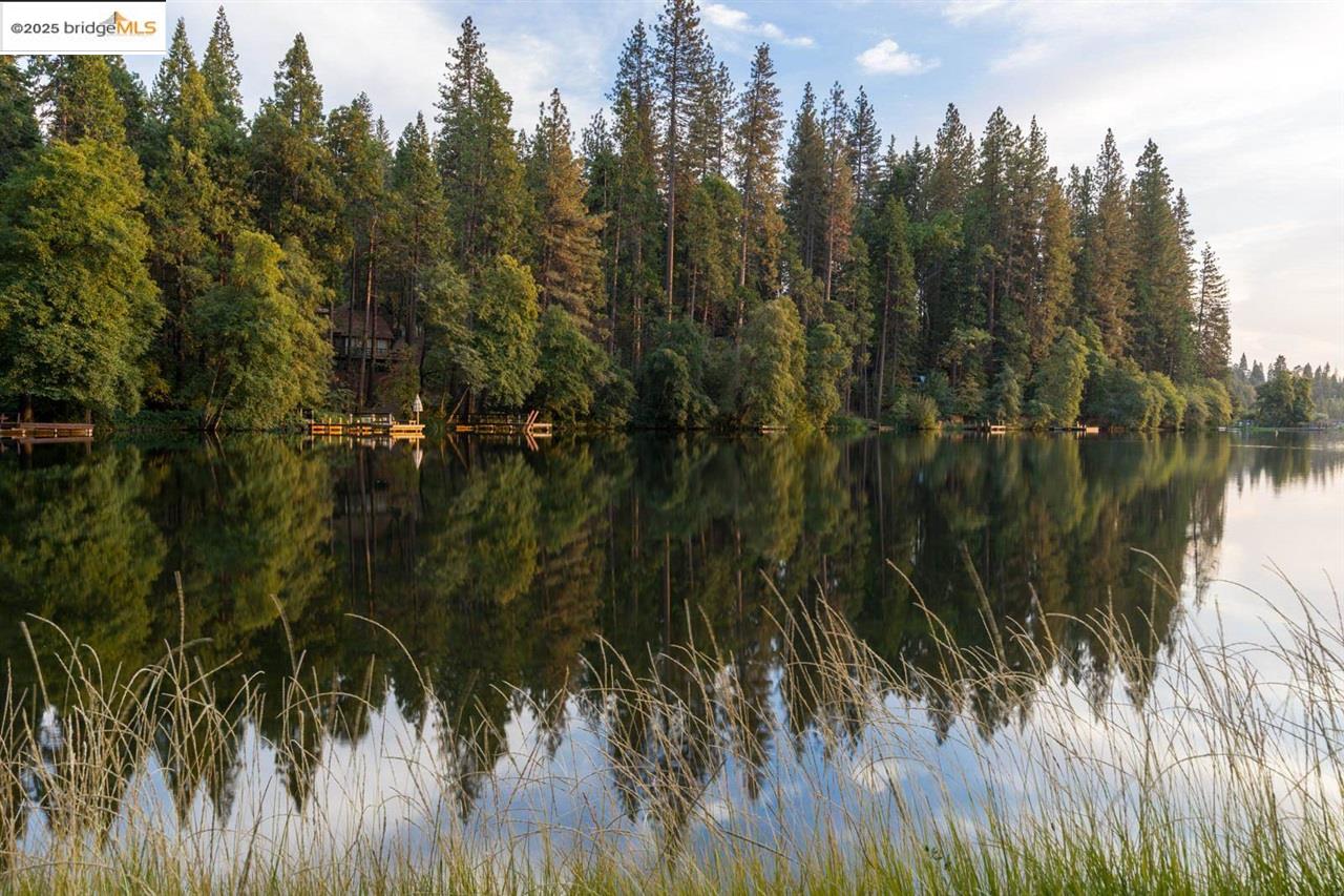 Detail Gallery Image 57 of 60 For 23013 Sierra Dr., Twain Harte,  CA 95383 - 3 Beds | 2 Baths