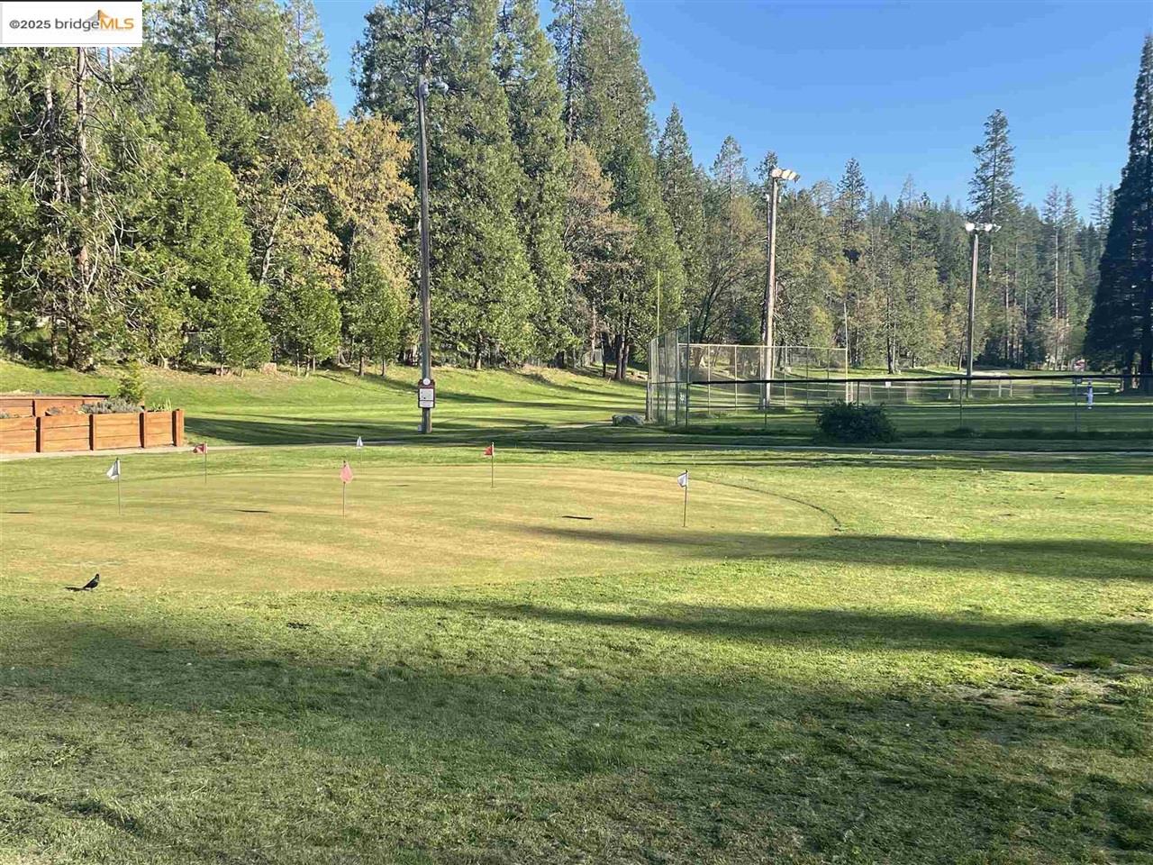 Detail Gallery Image 58 of 60 For 23013 Sierra Dr., Twain Harte,  CA 95383 - 3 Beds | 2 Baths