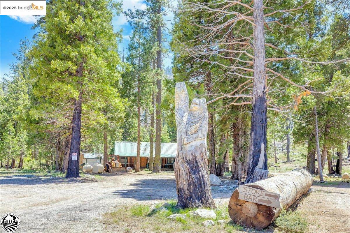 Detail Gallery Image 5 of 60 For 1 Highway 108, Strawberry,  CA 95314 - – Beds | – Baths