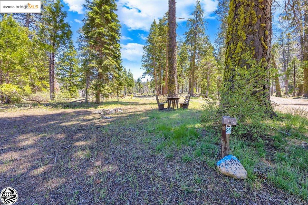 Detail Gallery Image 43 of 60 For 1 Highway 108, Strawberry,  CA 95314 - – Beds | – Baths