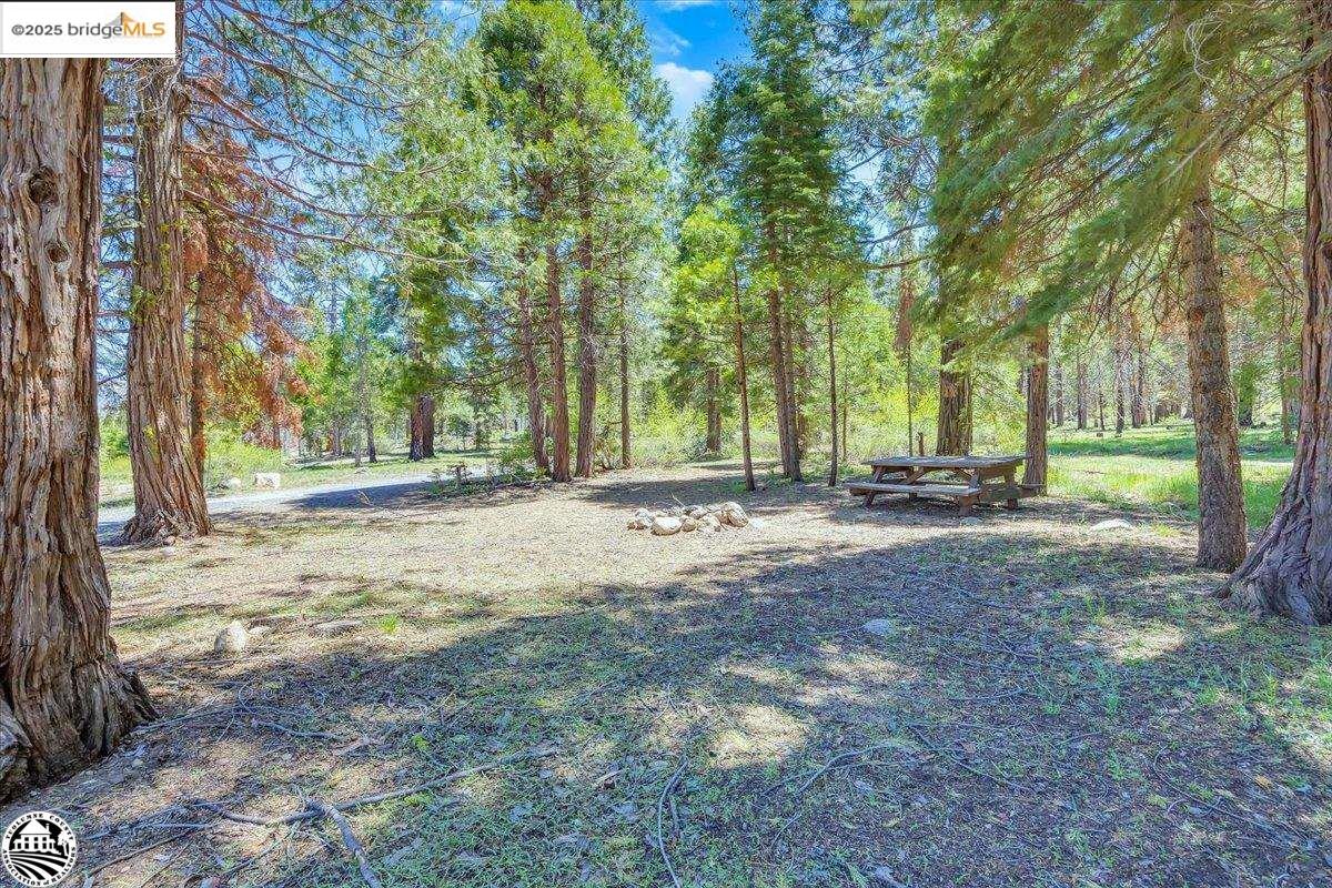 Detail Gallery Image 48 of 60 For 1 Highway 108, Strawberry,  CA 95314 - – Beds | – Baths