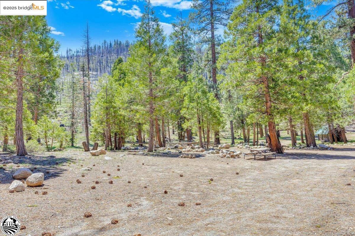 Detail Gallery Image 49 of 60 For 1 Highway 108, Strawberry,  CA 95314 - – Beds | – Baths
