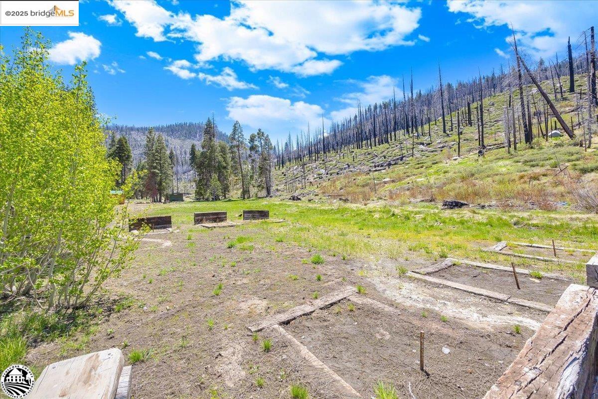Detail Gallery Image 6 of 60 For 1 Highway 108, Strawberry,  CA 95314 - – Beds | – Baths