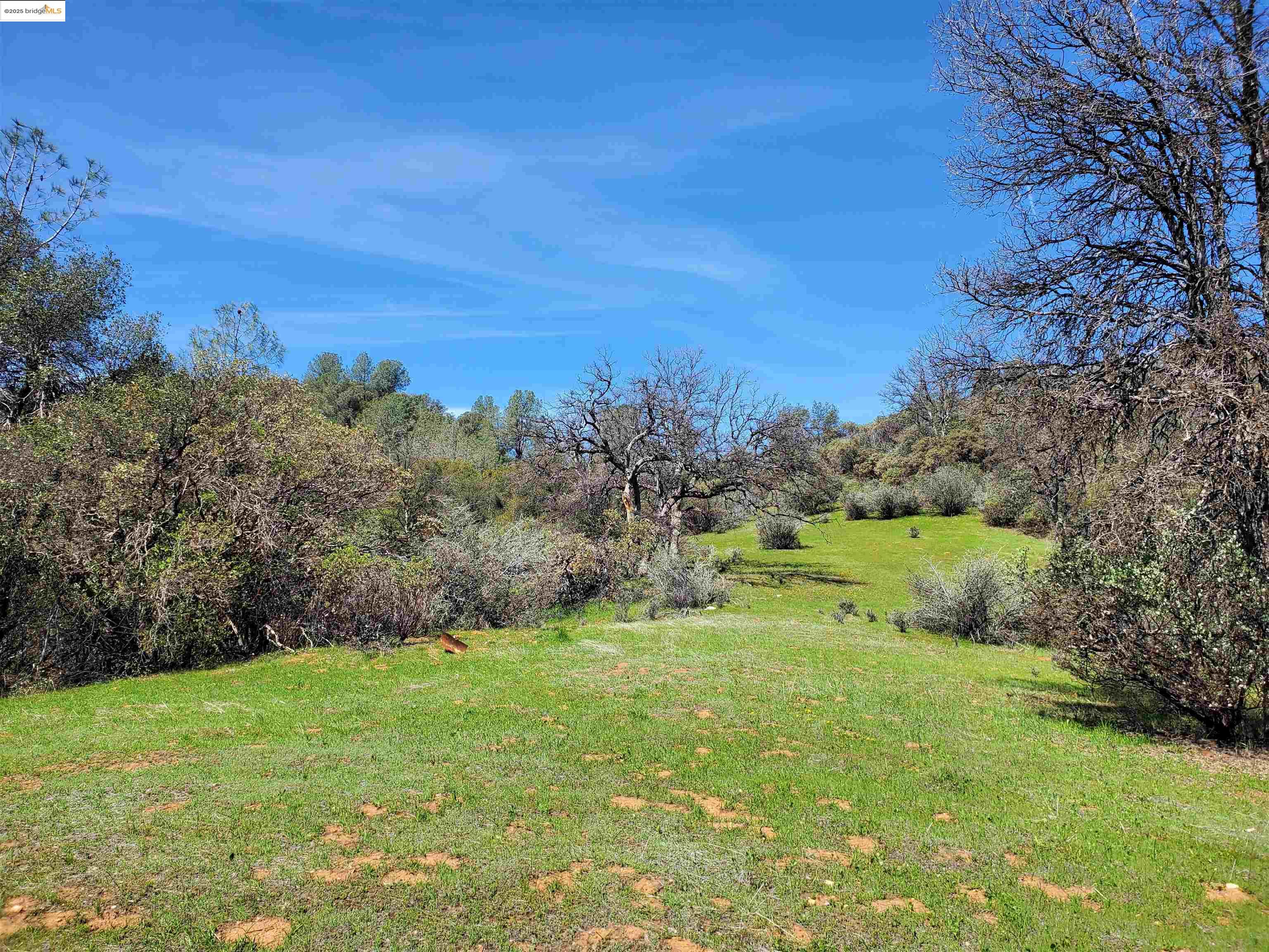 Detail Gallery Image 1 of 29 For 20350 Soulsbyville Road, –,  CA 95372 - – Beds | – Baths