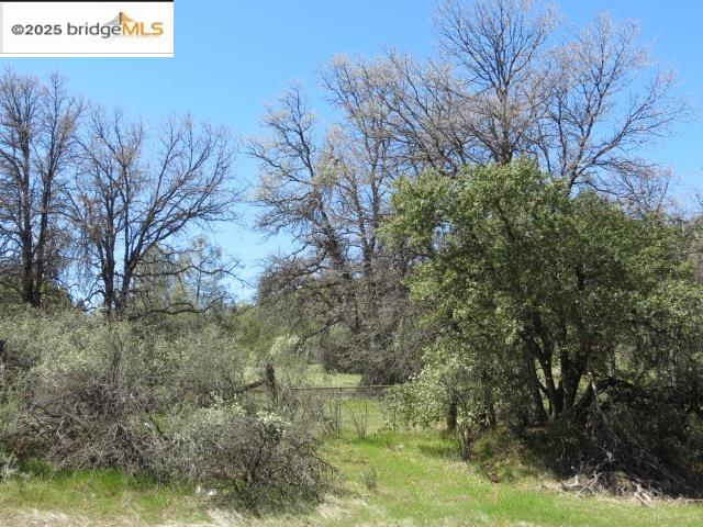 Detail Gallery Image 13 of 29 For 20350 Soulsbyville Road, –,  CA 95372 - – Beds | – Baths
