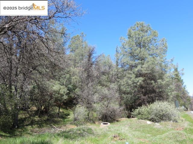 Detail Gallery Image 16 of 29 For 20350 Soulsbyville Road, –,  CA 95372 - – Beds | – Baths