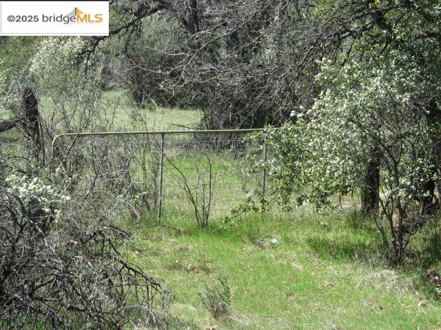 Detail Gallery Image 17 of 29 For 20350 Soulsbyville Road, –,  CA 95372 - – Beds | – Baths