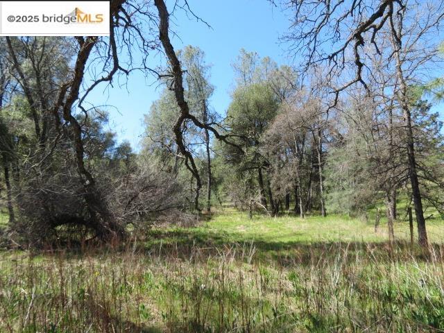 Detail Gallery Image 20 of 29 For 20350 Soulsbyville Road, –,  CA 95372 - – Beds | – Baths
