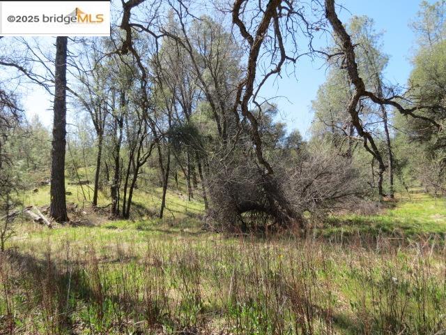 Detail Gallery Image 21 of 29 For 20350 Soulsbyville Road, –,  CA 95372 - – Beds | – Baths