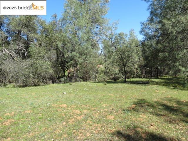 Detail Gallery Image 22 of 29 For 20350 Soulsbyville Road, –,  CA 95372 - – Beds | – Baths