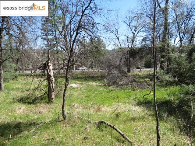 Detail Gallery Image 23 of 29 For 20350 Soulsbyville Road, –,  CA 95372 - – Beds | – Baths