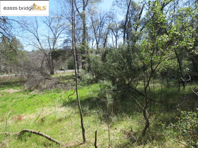 Detail Gallery Image 25 of 29 For 20350 Soulsbyville Road, –,  CA 95372 - – Beds | – Baths