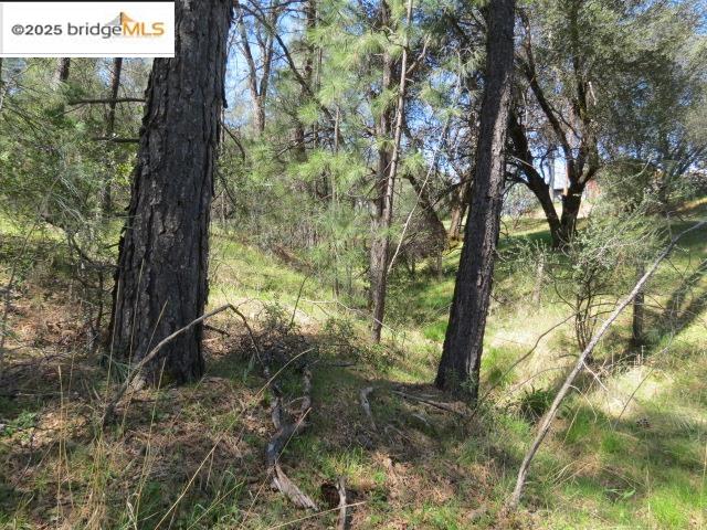Detail Gallery Image 26 of 29 For 20350 Soulsbyville Road, –,  CA 95372 - – Beds | – Baths