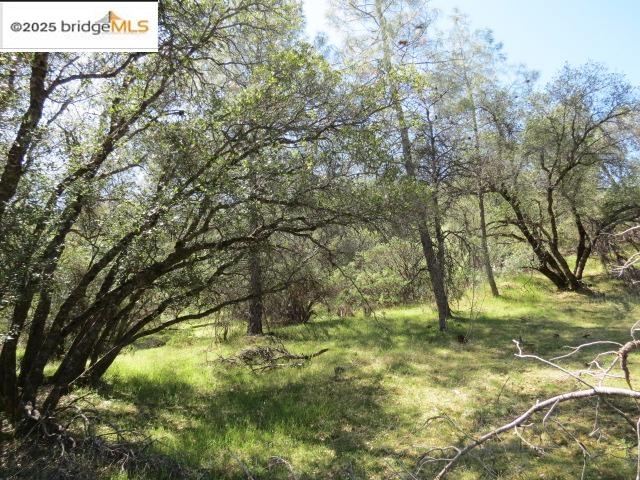 Detail Gallery Image 28 of 29 For 20350 Soulsbyville Road, –,  CA 95372 - – Beds | – Baths
