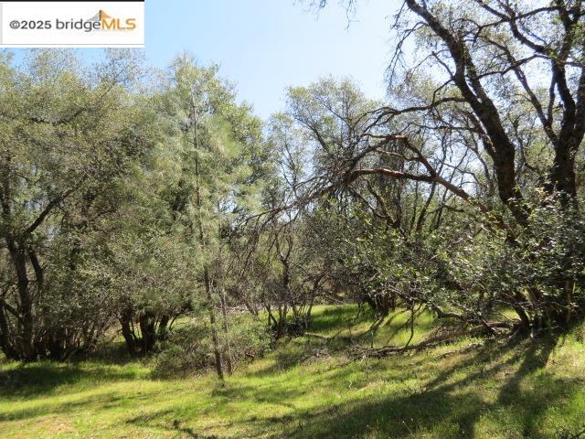 Detail Gallery Image 29 of 29 For 20350 Soulsbyville Road, –,  CA 95372 - – Beds | – Baths