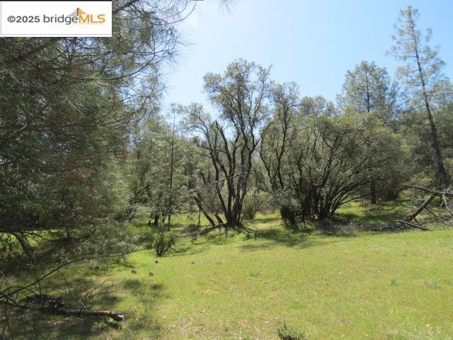 Detail Gallery Image 4 of 29 For 20350 Soulsbyville Road, –,  CA 95372 - – Beds | – Baths